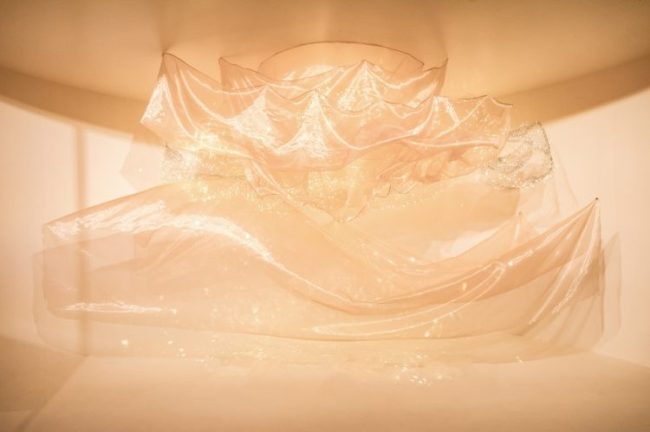 1756713512-efae389f8fbbd60